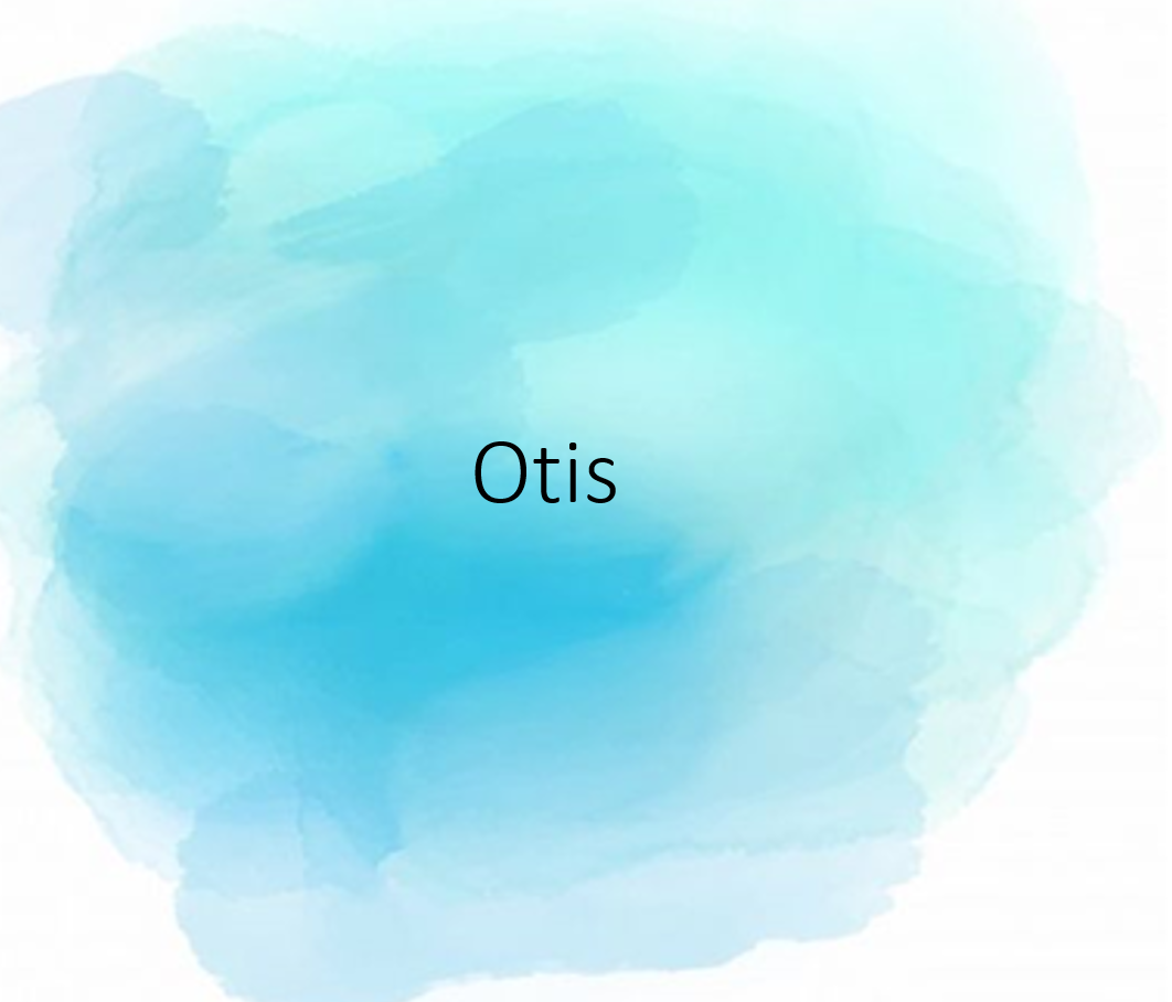 otis-hydraulic-elevator-otis-elevators-latest-price-dealers